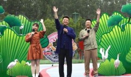 桃溪粉丝爆料视频最新消息,揭秘明星幕后故事